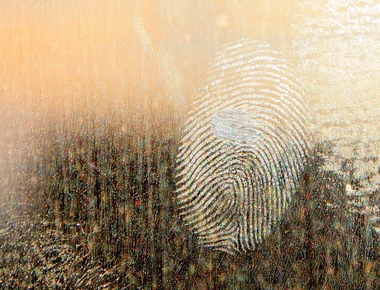 Easily retrieve SHA fingerprints with Gradle signingReport task for Android development